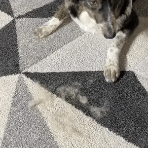 FurEase™ Grooming Glove